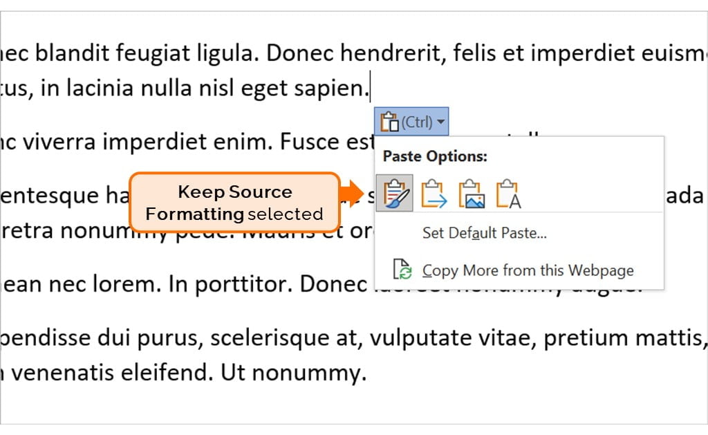 Word document with Paste Options button open. The button shows the Keep Source Formatting option selected by default.